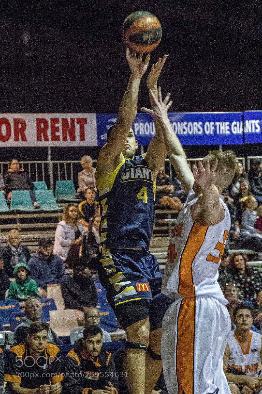 Canon EOS 7D Mark II sample photo. Goldfields giants photography