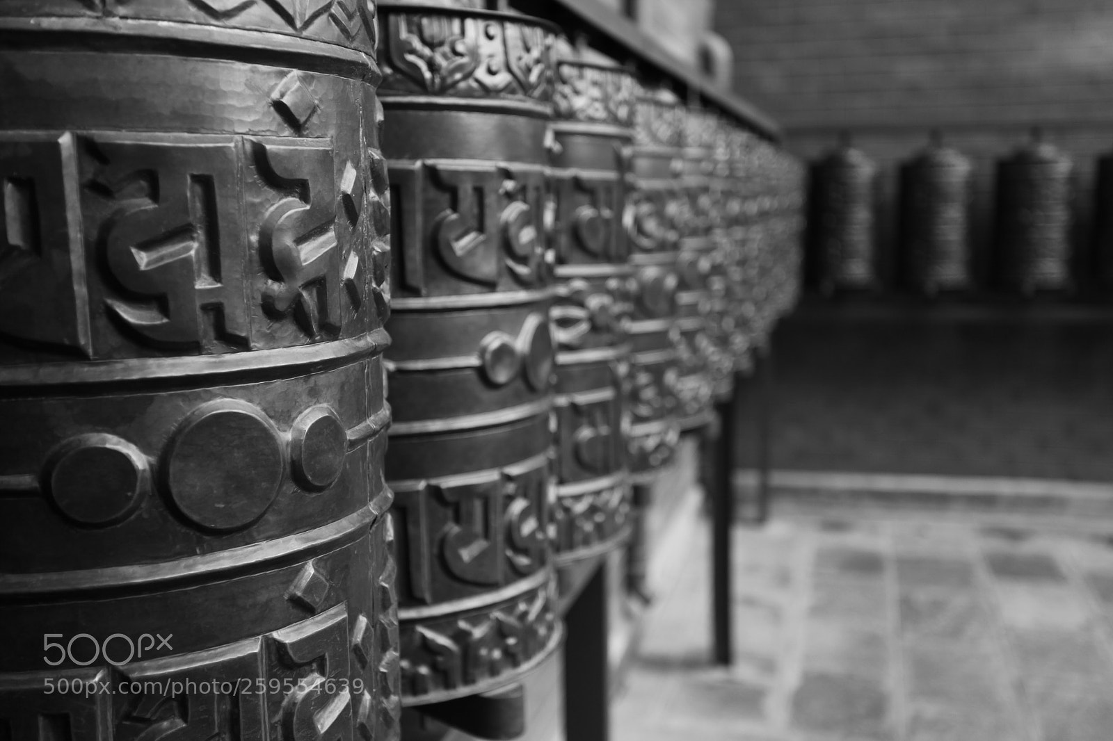 Canon EOS 5D Mark II sample photo. Img photography