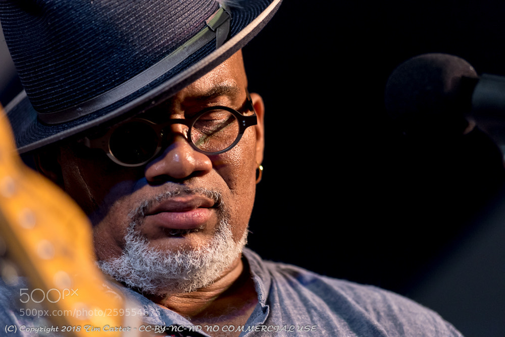 Nikon D750 sample photo. Toronzo cannon photography