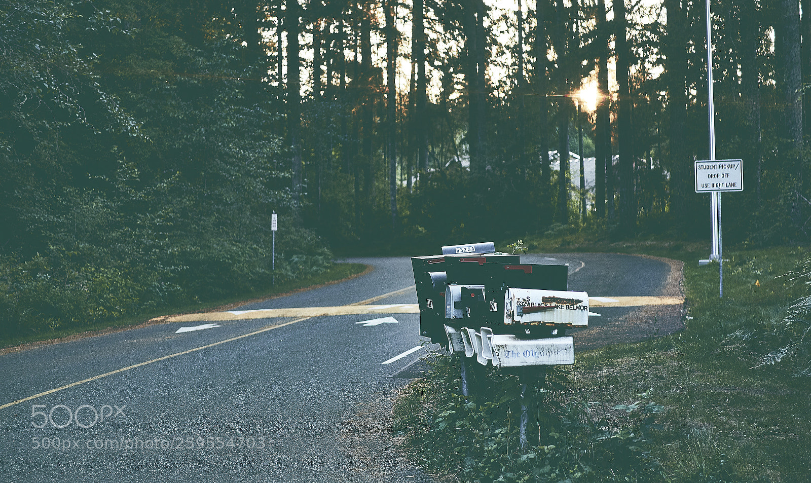 Canon EOS 7D Mark II sample photo. Venturing photography