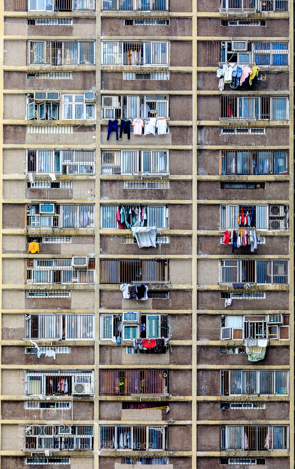 Canon EOS 5D Mark IV sample photo. The wall of living photography