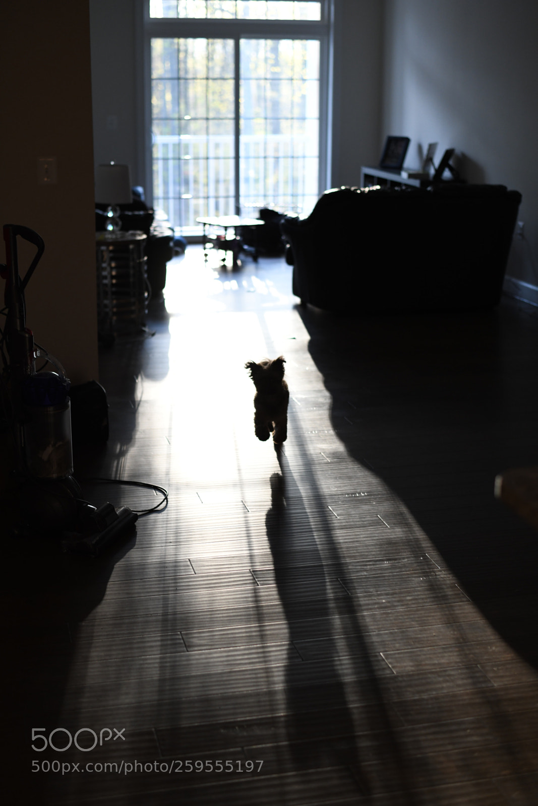 Nikon D850 sample photo. Shadows photography