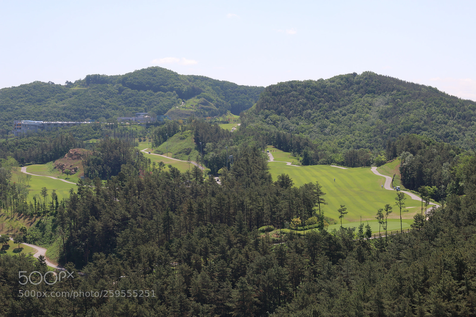 Canon EOS 70D + Canon EF 50mm F1.8 STM sample photo. Green photography