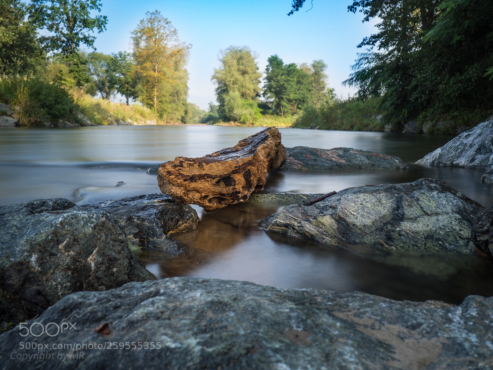 Olympus OM-D E-M10 II sample photo. Drift wood photography