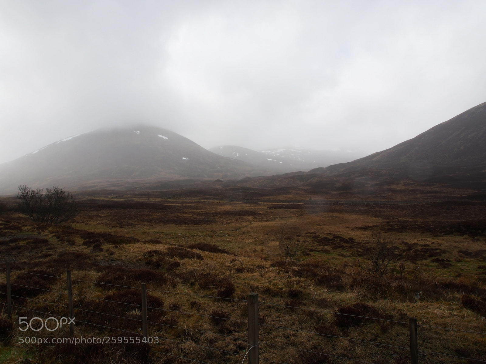 Olympus OM-D E-M5 sample photo. Foggy highlands photography