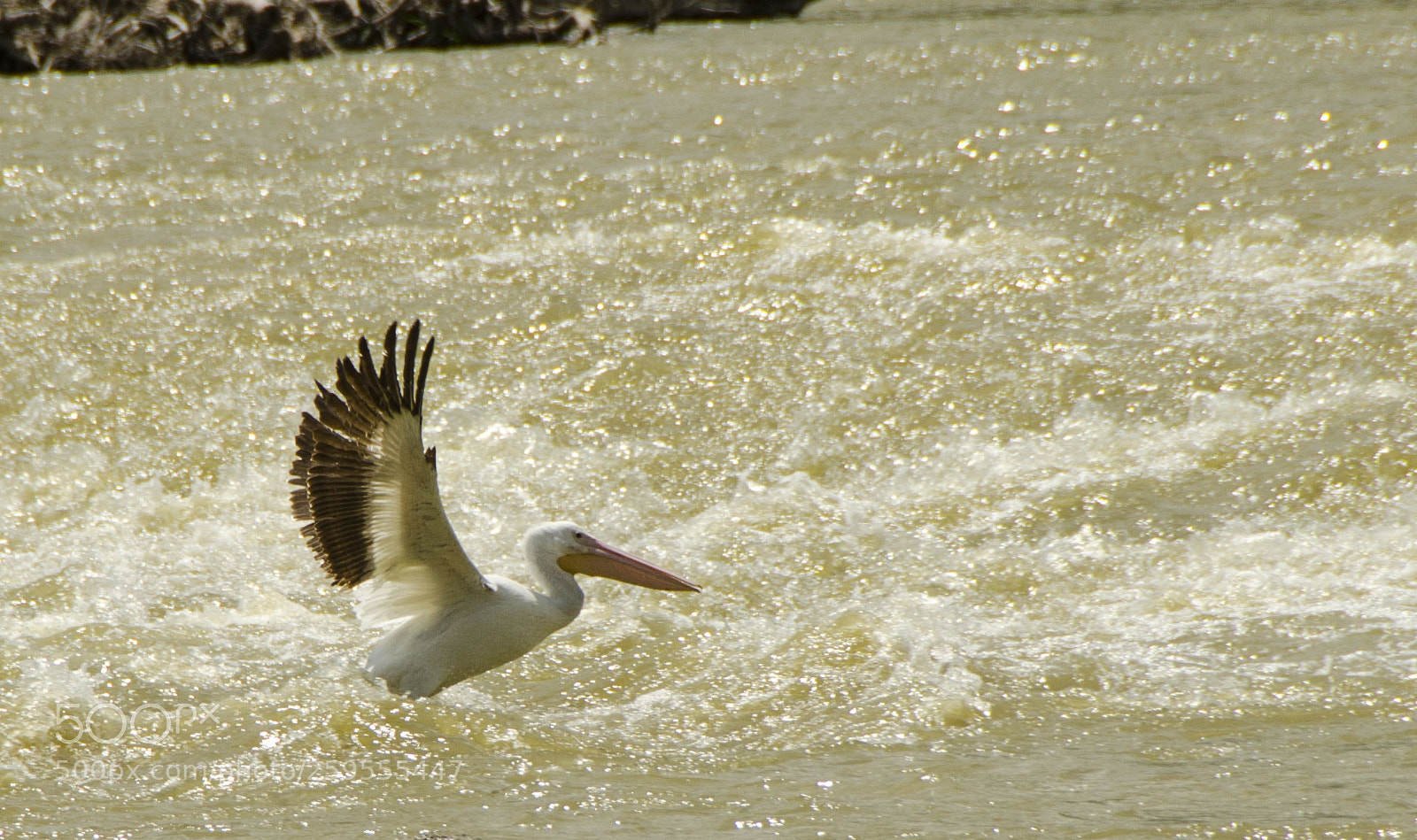 Nikon D7000 sample photo. Liftoff photography