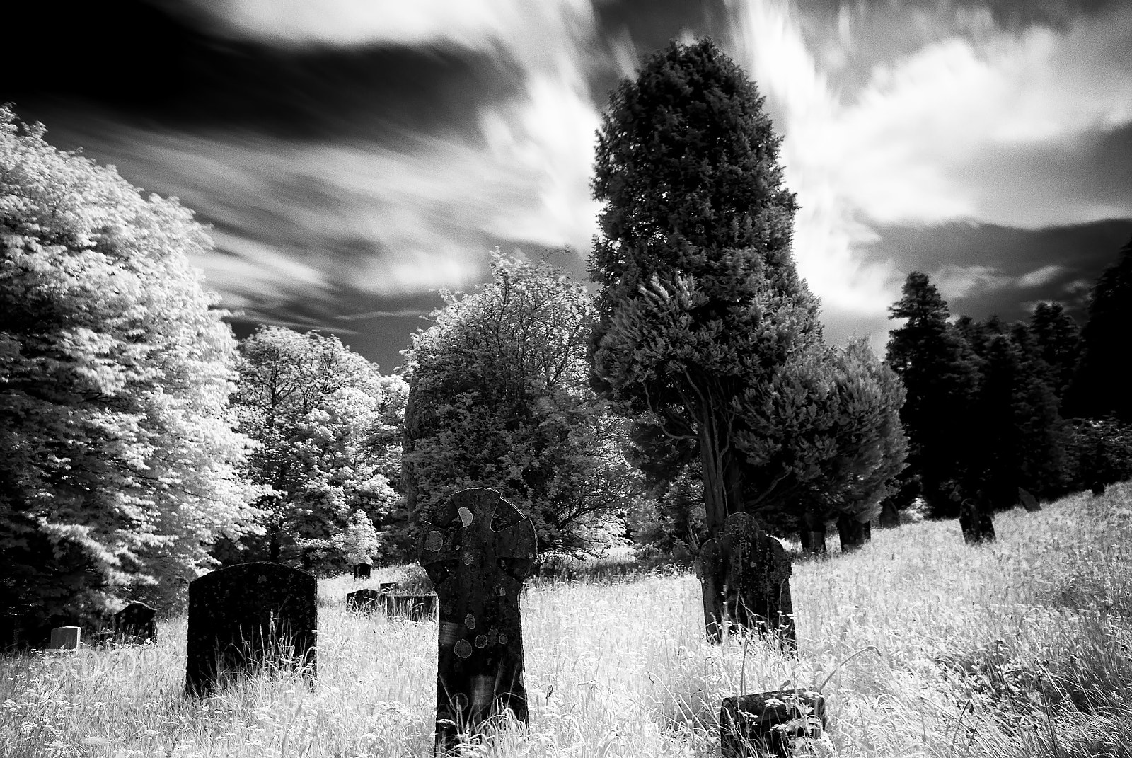 Nikon D200 sample photo. Overgrown graveyard infared 720nm photography