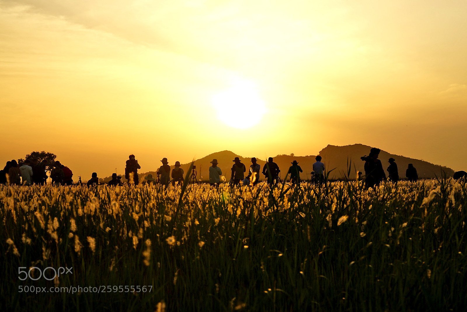 Sony a7 II sample photo. Untitled photography