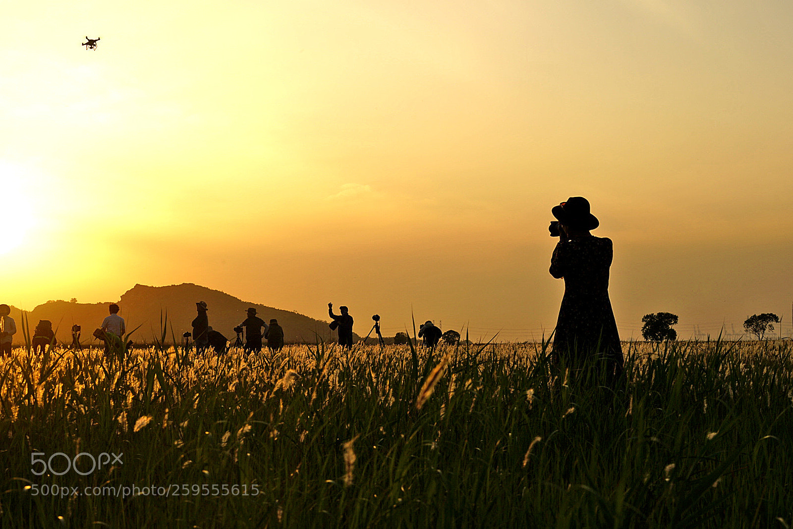 Sony a7 II sample photo. Untitled photography