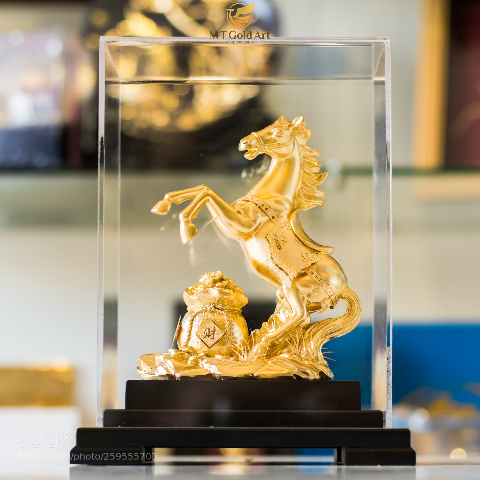 Sony a6300 sample photo. Mt gold art qu photography