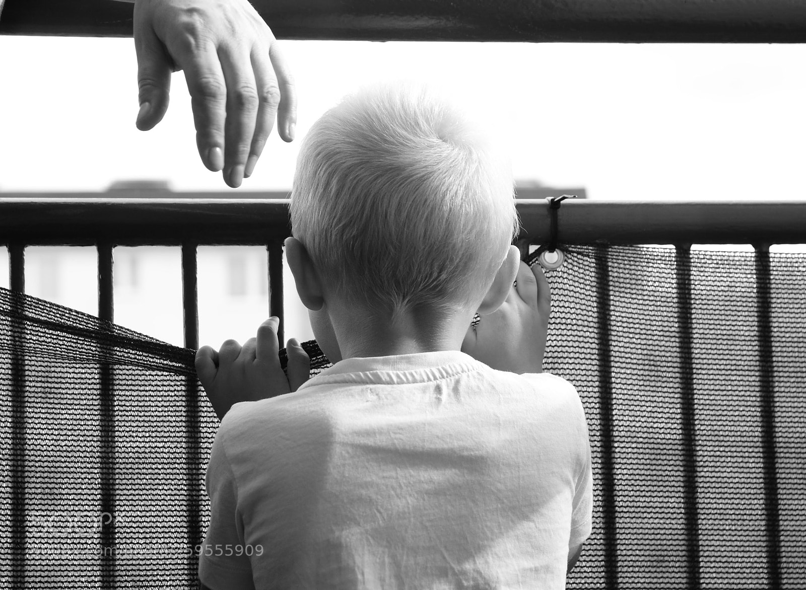 Sony Alpha DSLR-A300 sample photo. Robert photography