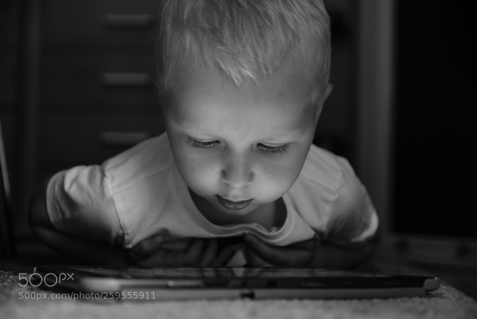Sony Alpha DSLR-A300 sample photo. Robert photography