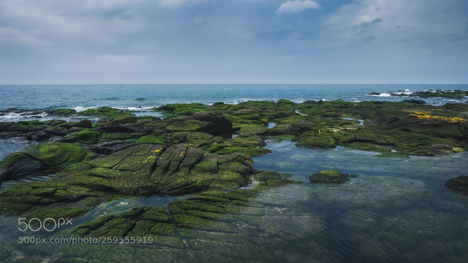 Fujifilm X-T1 sample photo. At the bay firth photography