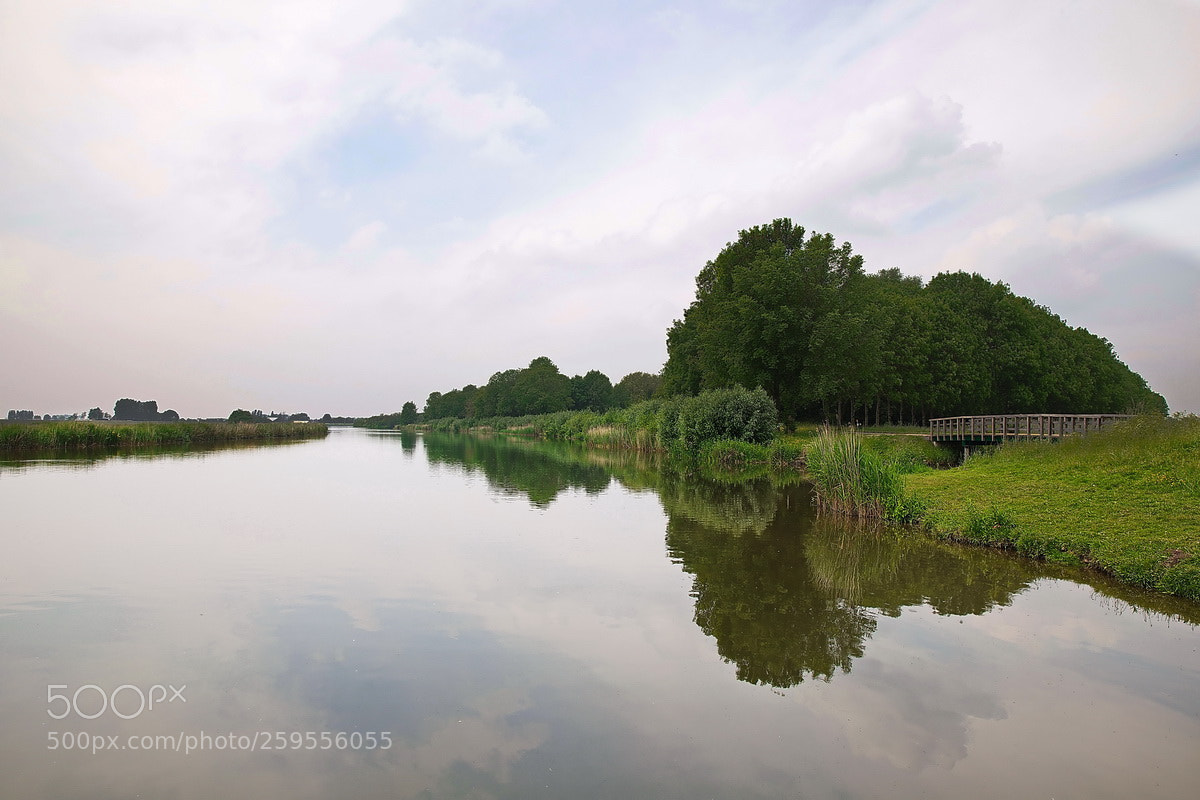Canon EF 24-70mm F2.8L II USM sample photo. Silence photography