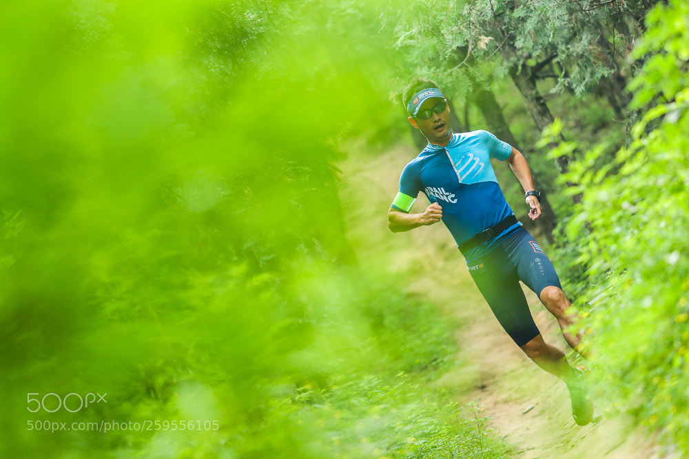 Canon EOS-1D X Mark II sample photo. Running photography
