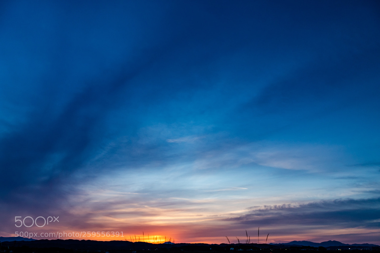 Canon EOS 6D Mark II sample photo. Sora. photography