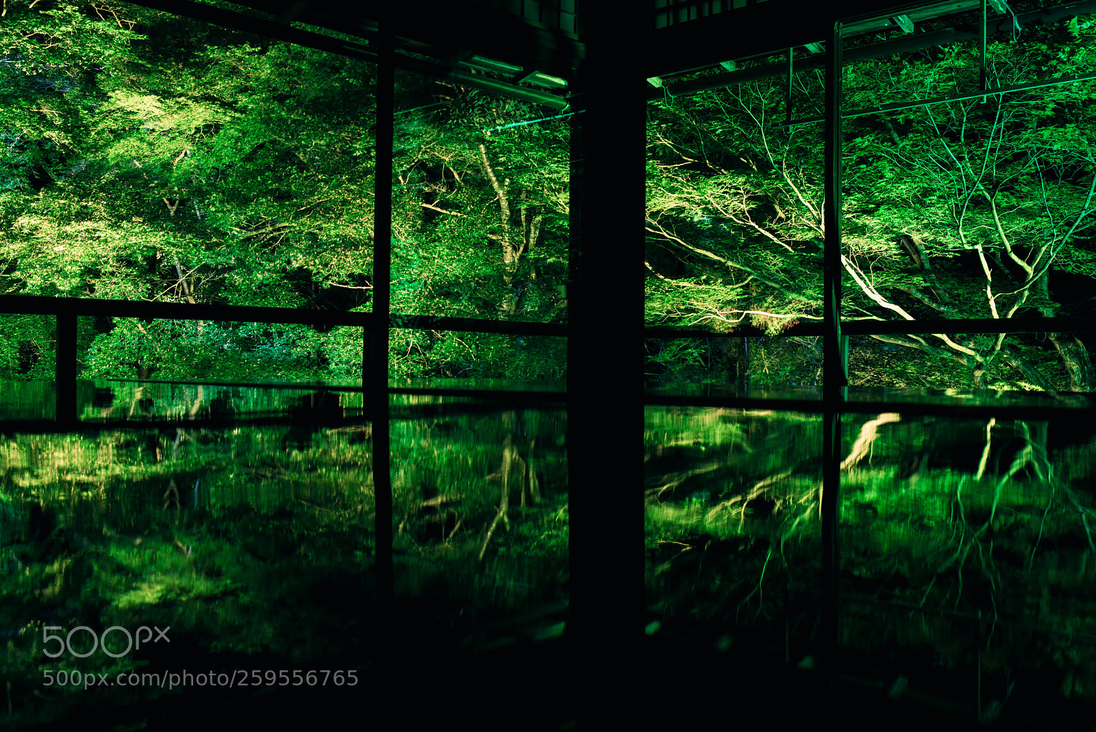 Nikon D810 sample photo. Kyoto_20180520_02 photography