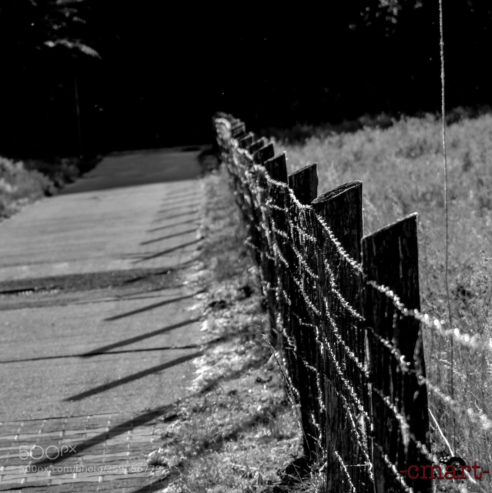 Canon EOS 1300D (EOS Rebel T6 / EOS Kiss X80) sample photo. Light and shadow  photography