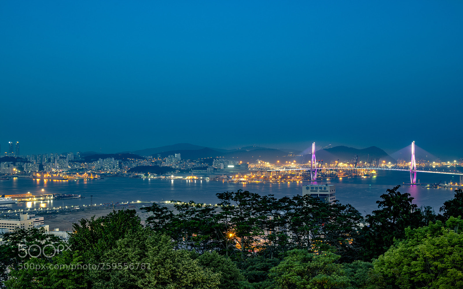 Nikon D850 sample photo. Untitled photography