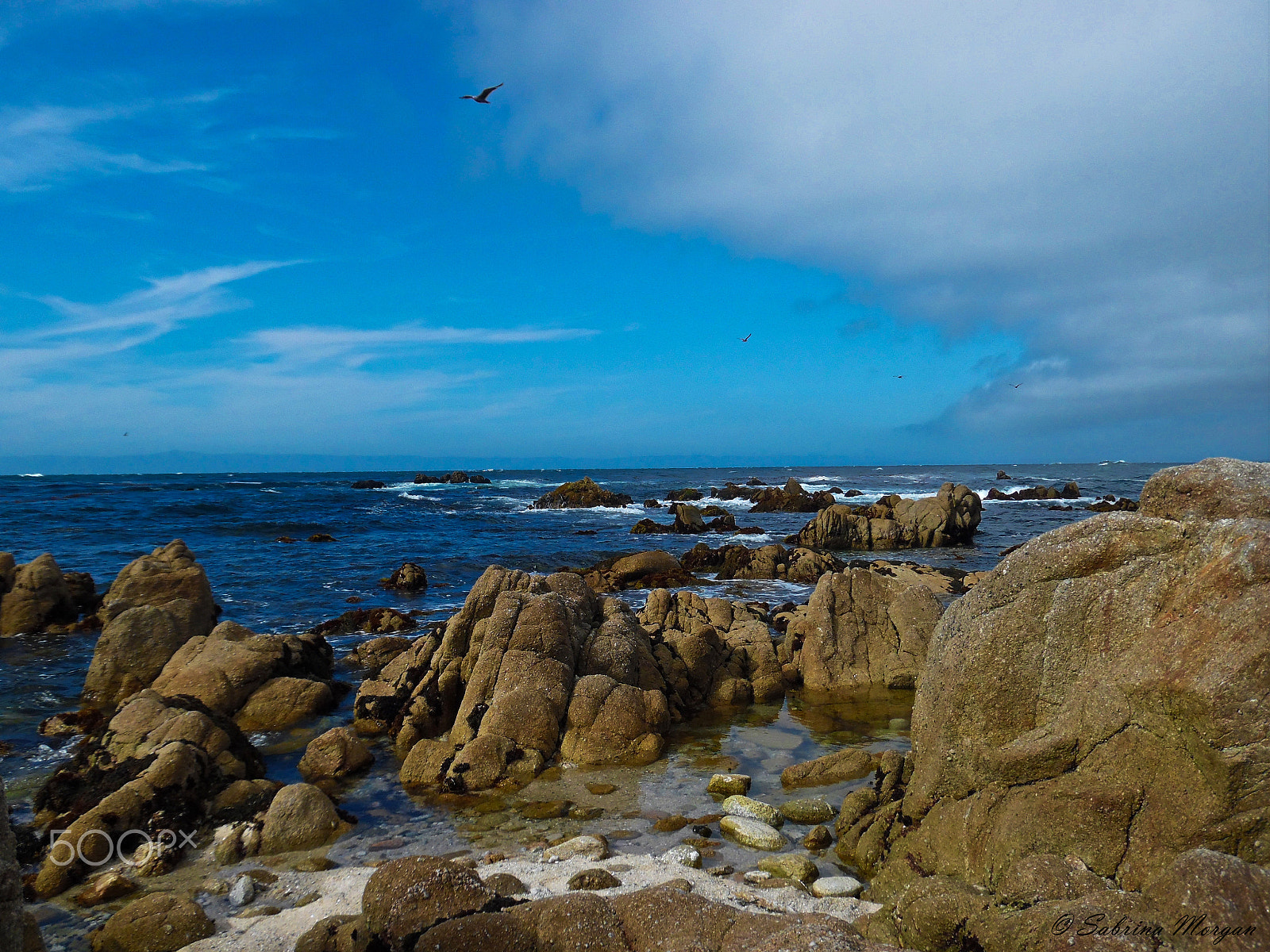 Samsung WB35F/WB36F/WB37F sample photo. Monterey beach photography