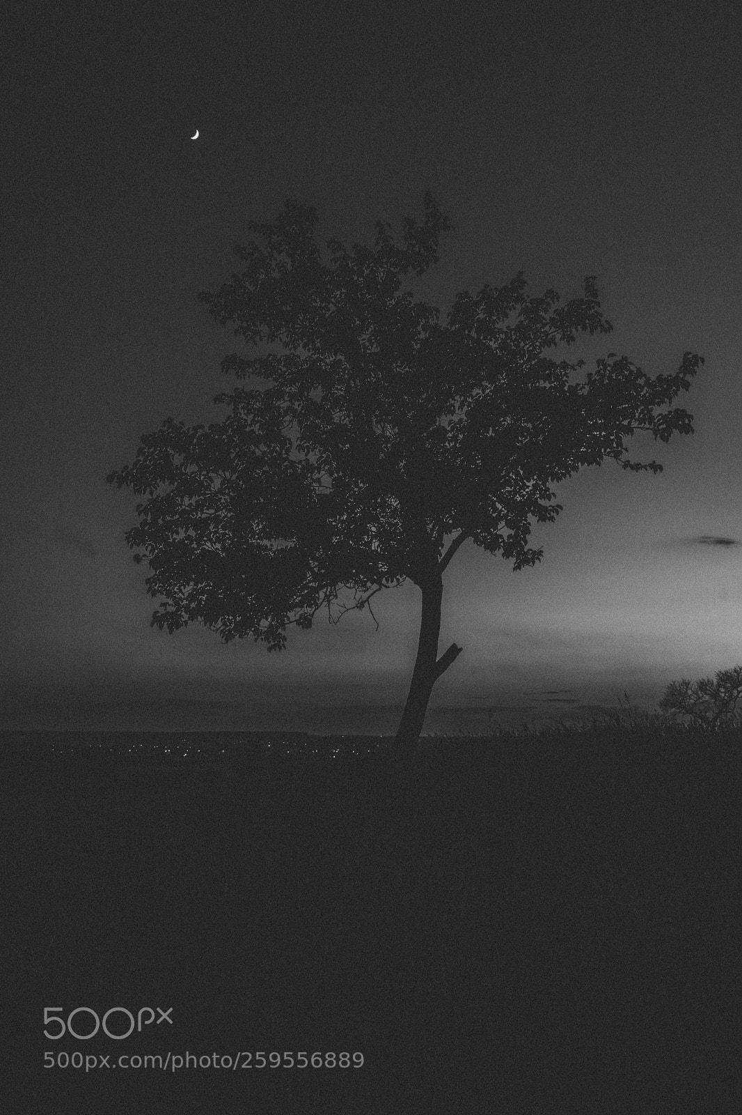 Canon EOS 750D (EOS Rebel T6i / EOS Kiss X8i) sample photo. Silhouette photography