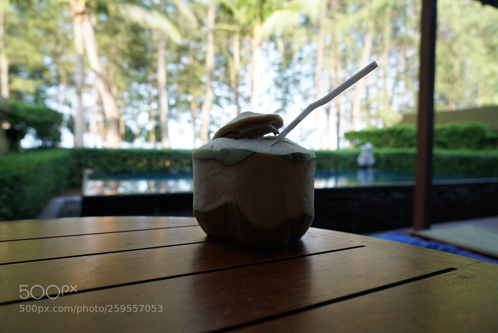 Sony a7R II sample photo. Coconut drink // thailand  photography