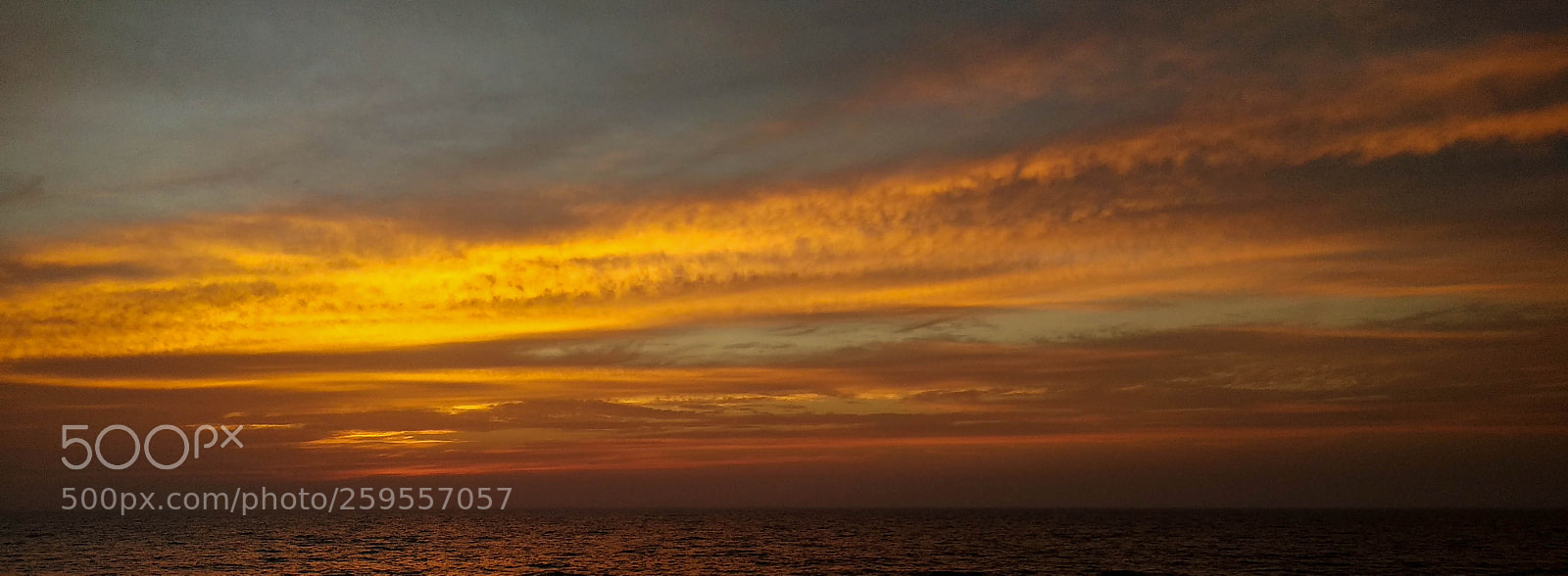 Xiaomi Redmi Note 4 sample photo. Natural canvas? photography