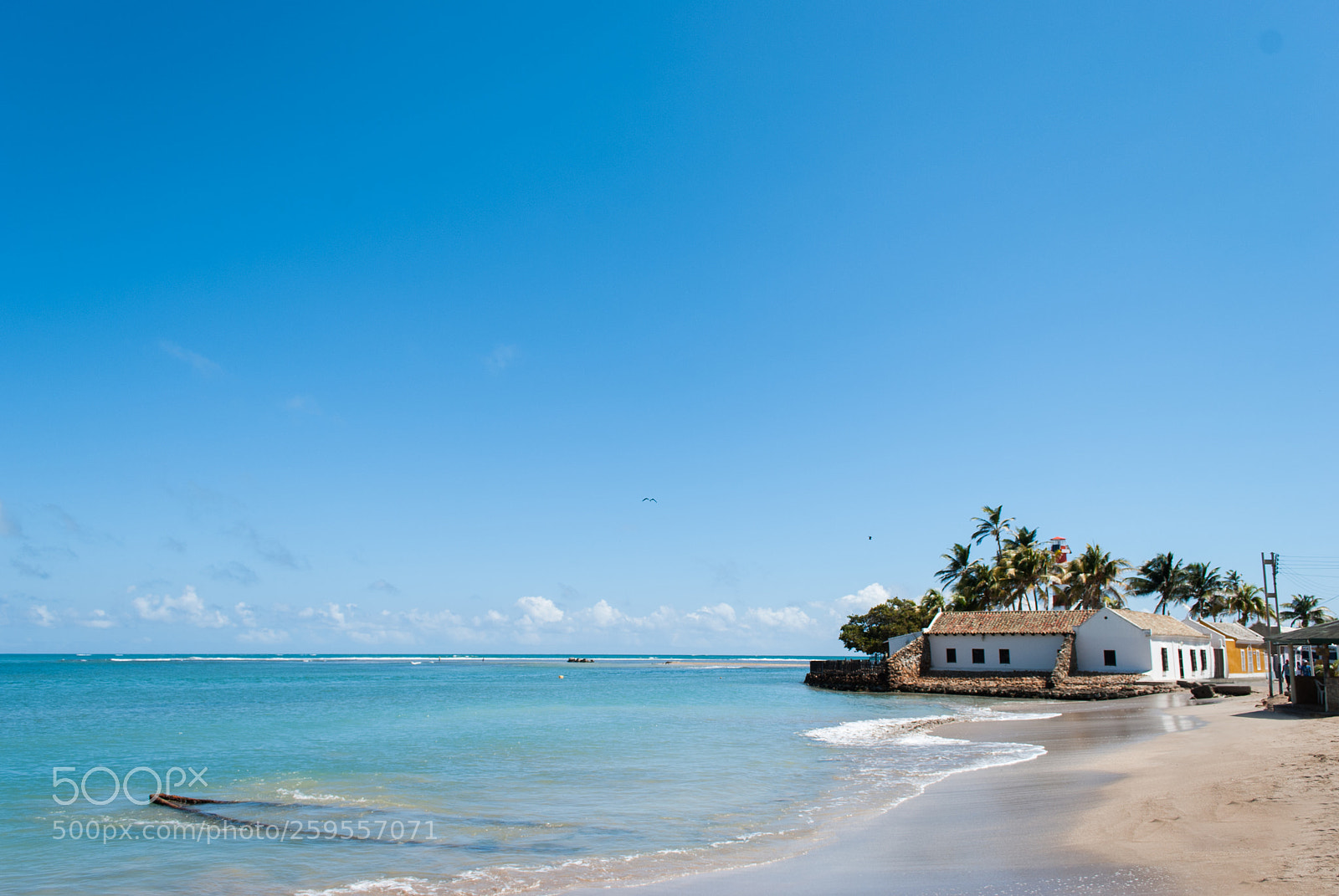 Nikon D60 sample photo. Adicora's shore photography