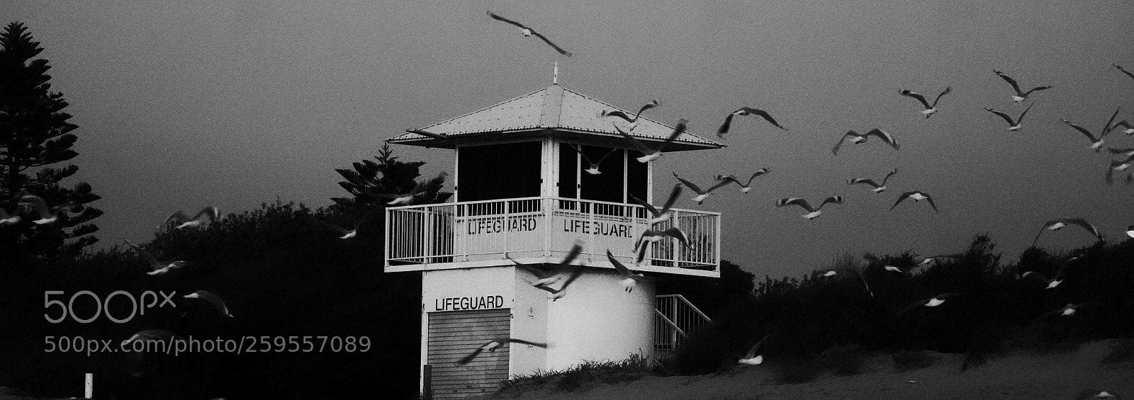 Olympus OM-D E-M1 Mark II sample photo. Fairymeadow beach photography