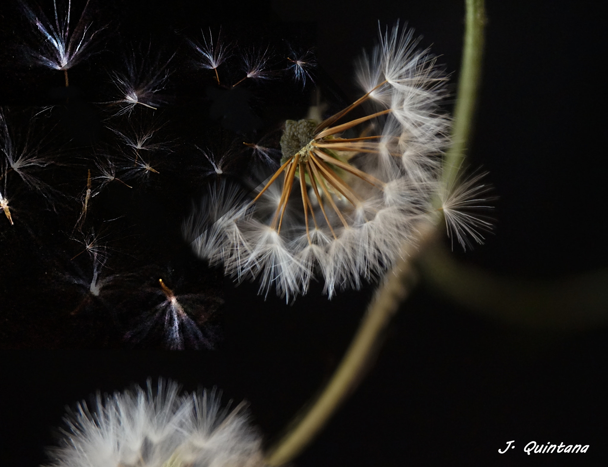 Sony E 18-50mm F4-5.6 sample photo. Se la lleva el viento photography