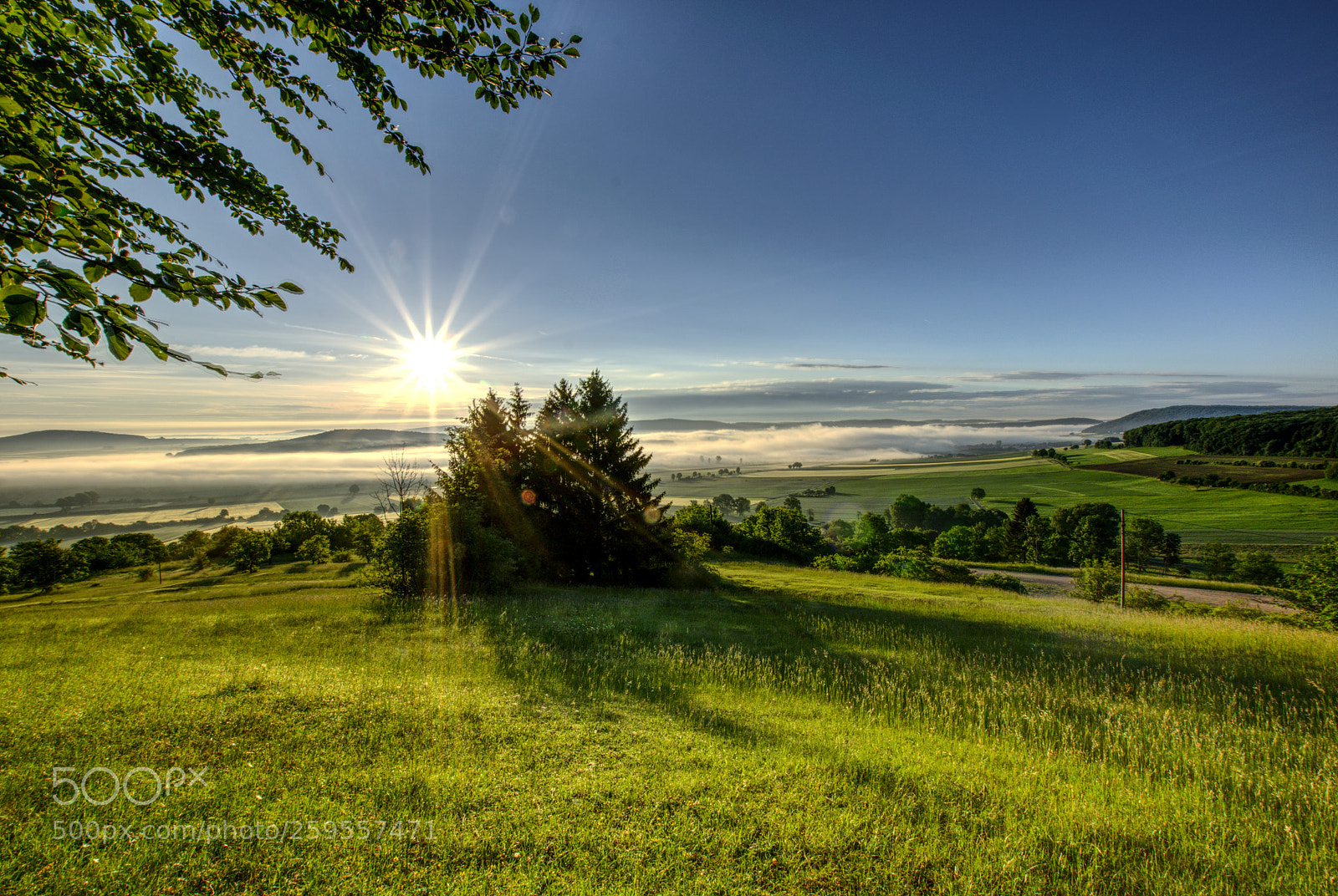 Nikon D5300 sample photo. Fog over altmuehltal photography