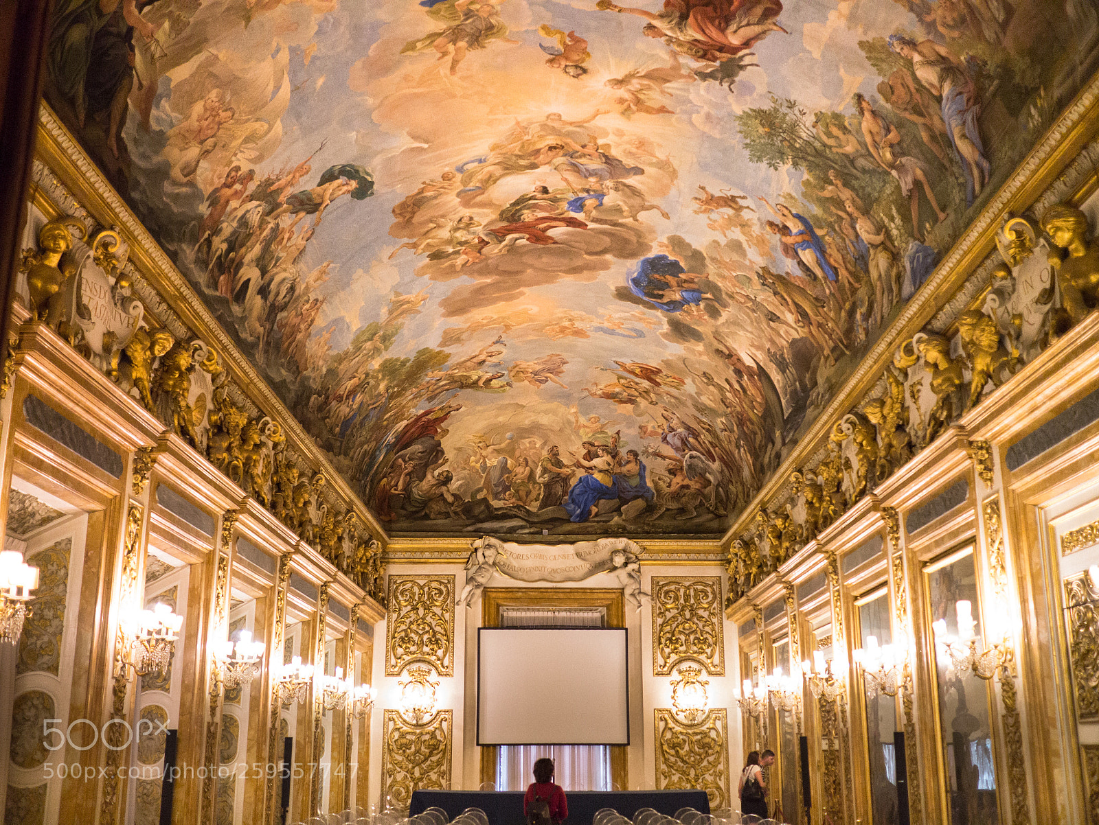 Panasonic Lumix DMC-G3 sample photo. Palazzo medici congress room photography
