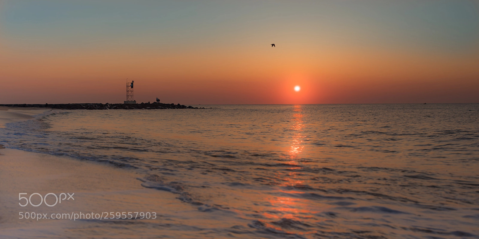 Nikon D750 sample photo. Belmar sunrise photography