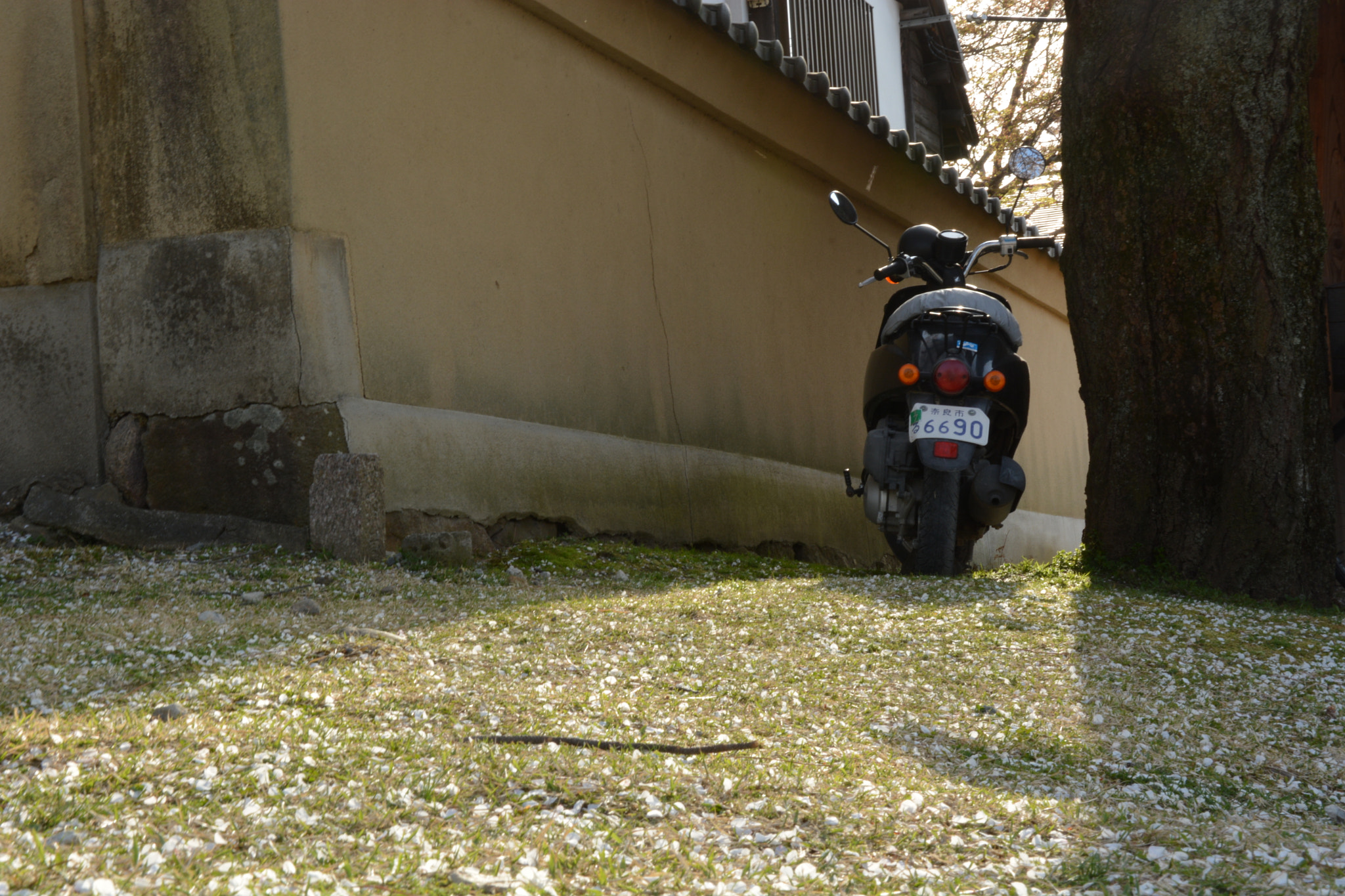 Nikon D7100 sample photo. Motor photography