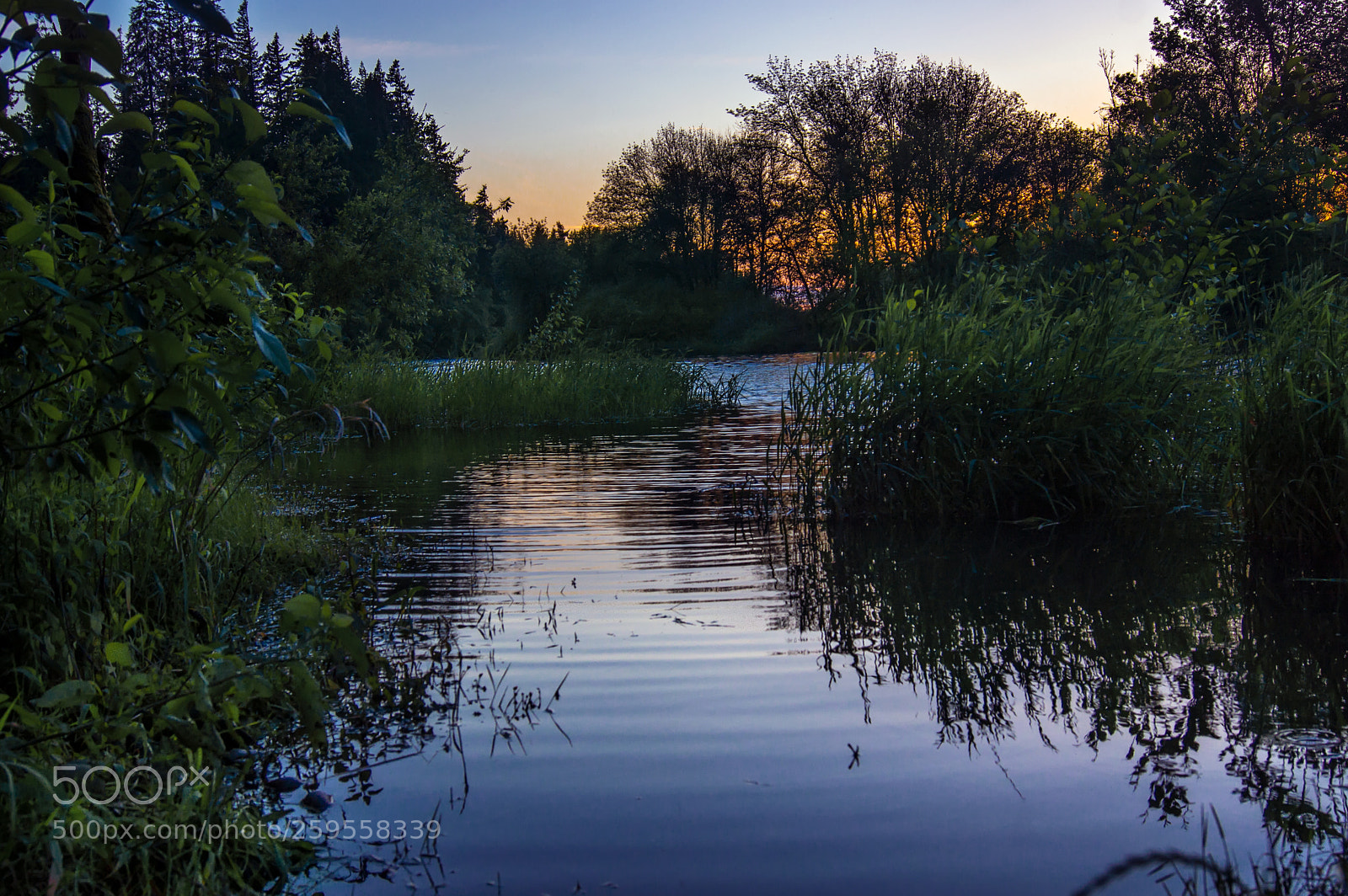 Sony SLT-A77 sample photo. Nutheriverss photography