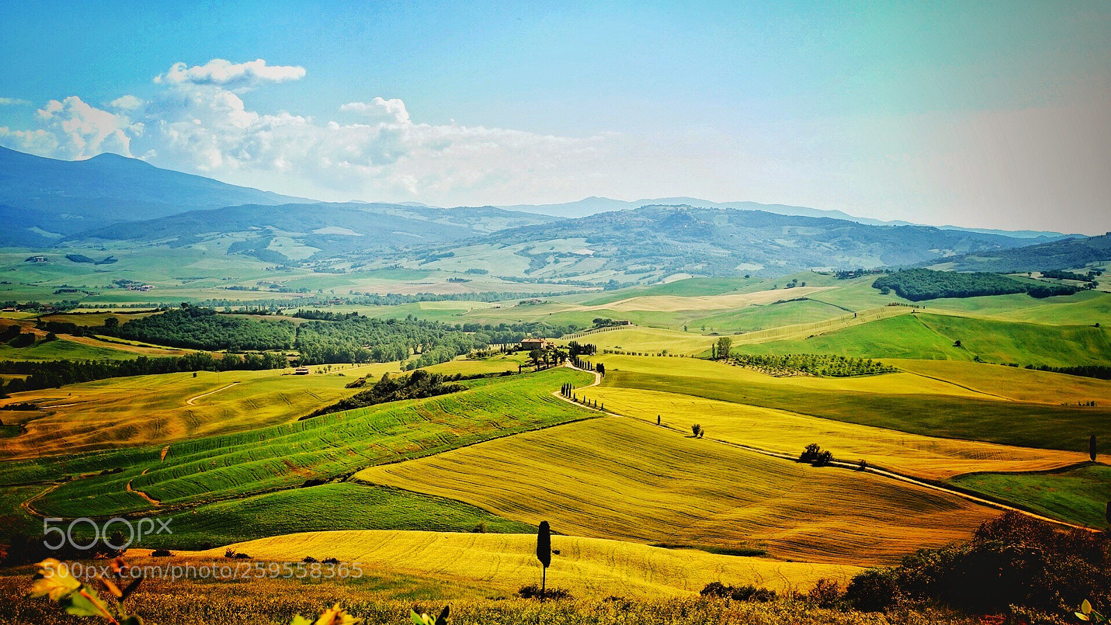 Sony a7 sample photo. Toscana photography