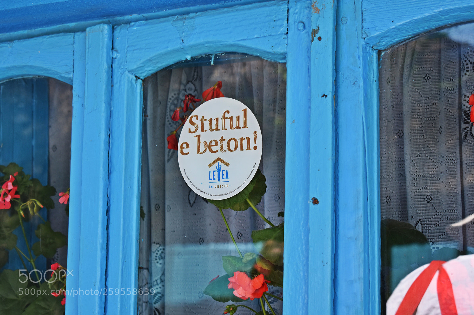 Nikon D3400 sample photo. Letea stuful e beton photography