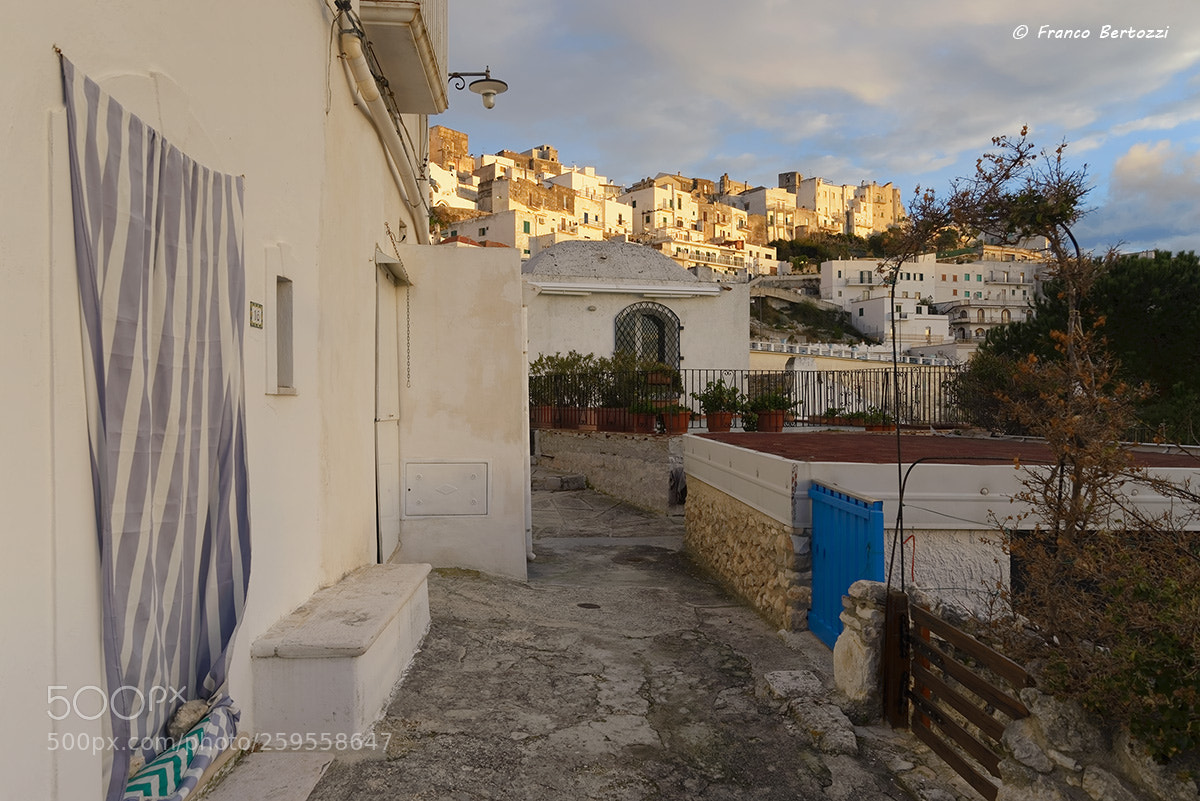 Nikon D610 sample photo. Peschici photography