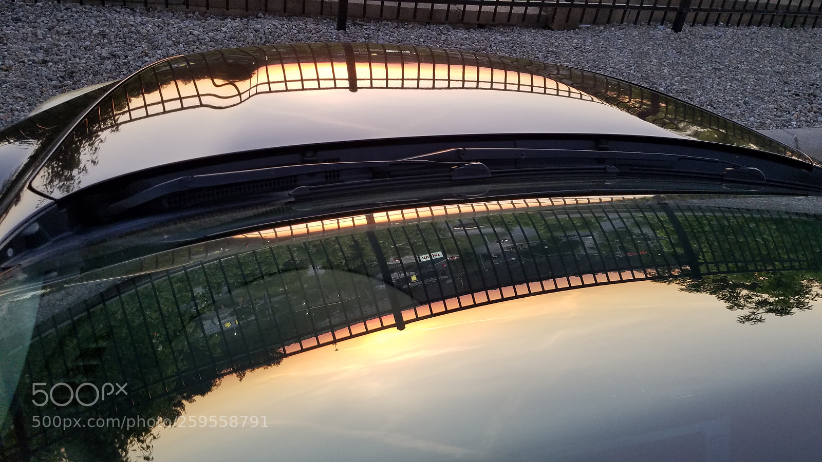 Samsung Galaxy S7 sample photo. Mirror image over the photography