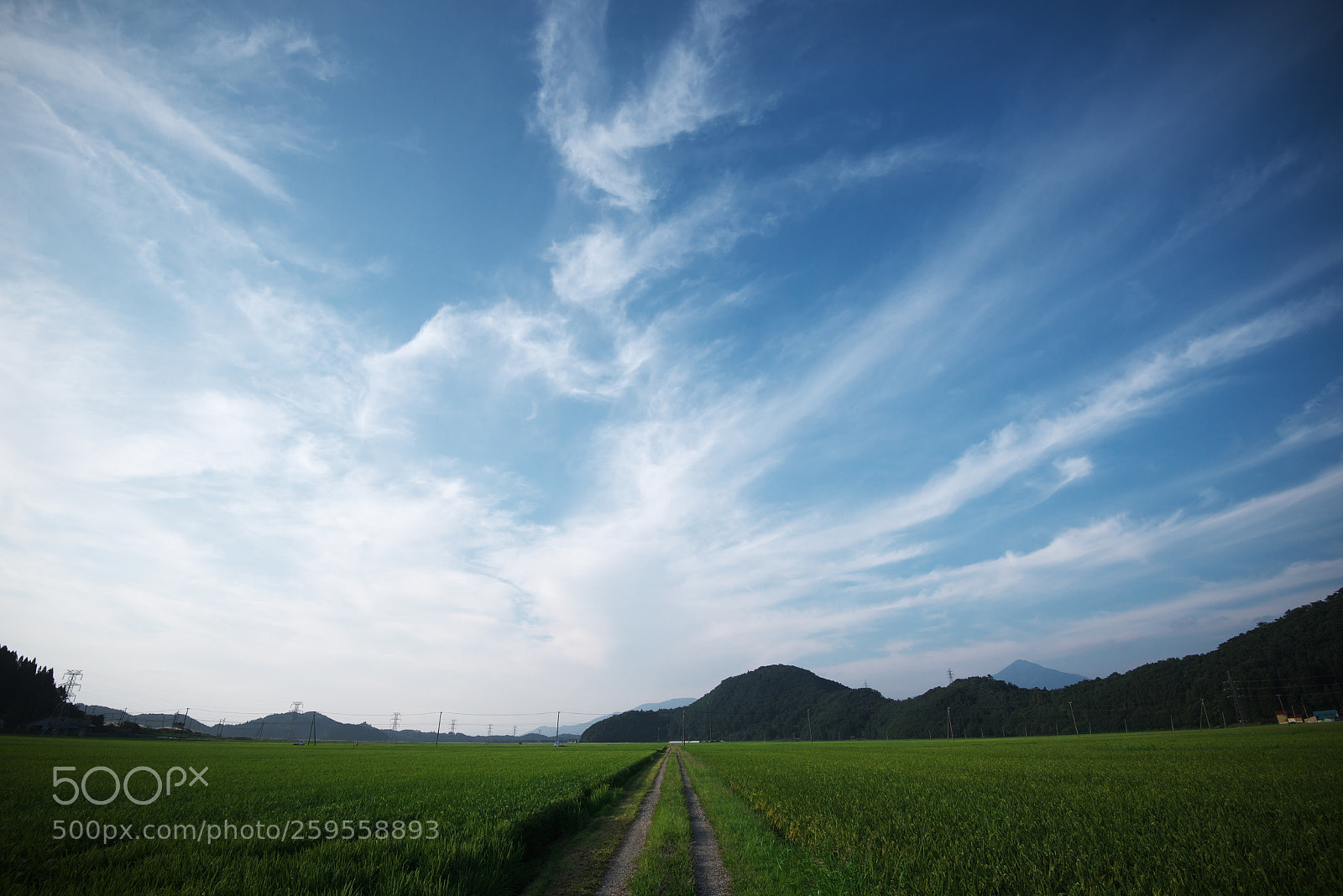 Nikon D750 sample photo. 会津の田園風景 photography