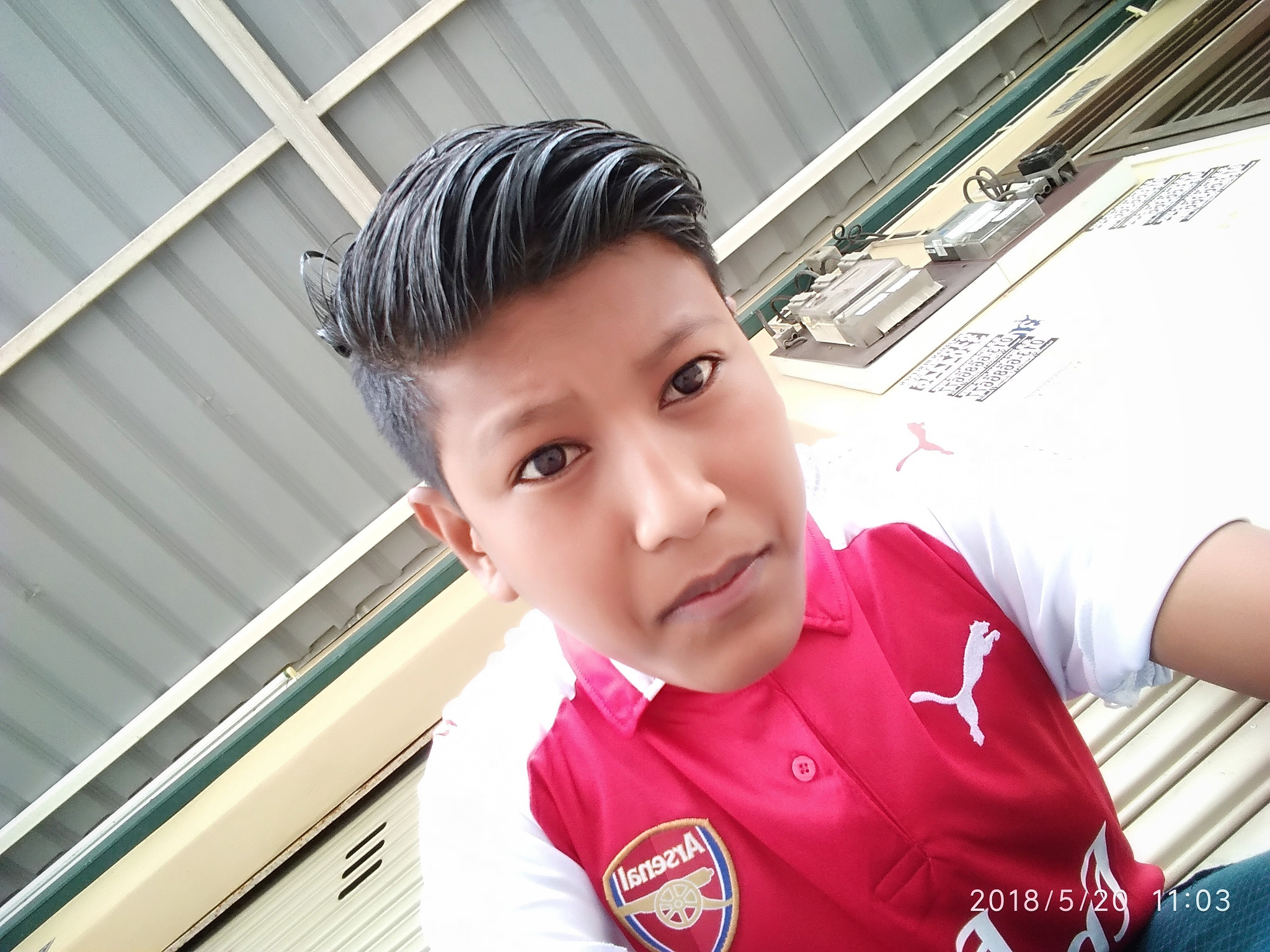 Xiaomi MI MAX 2 sample photo