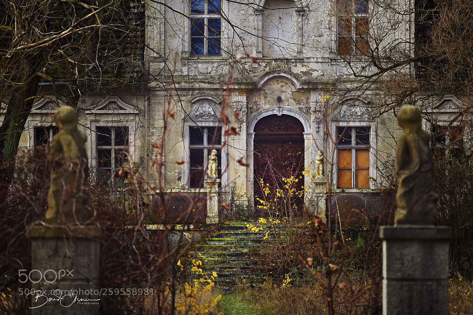 Nikon D600 sample photo. Vergessene sch nheit forgotten photography
