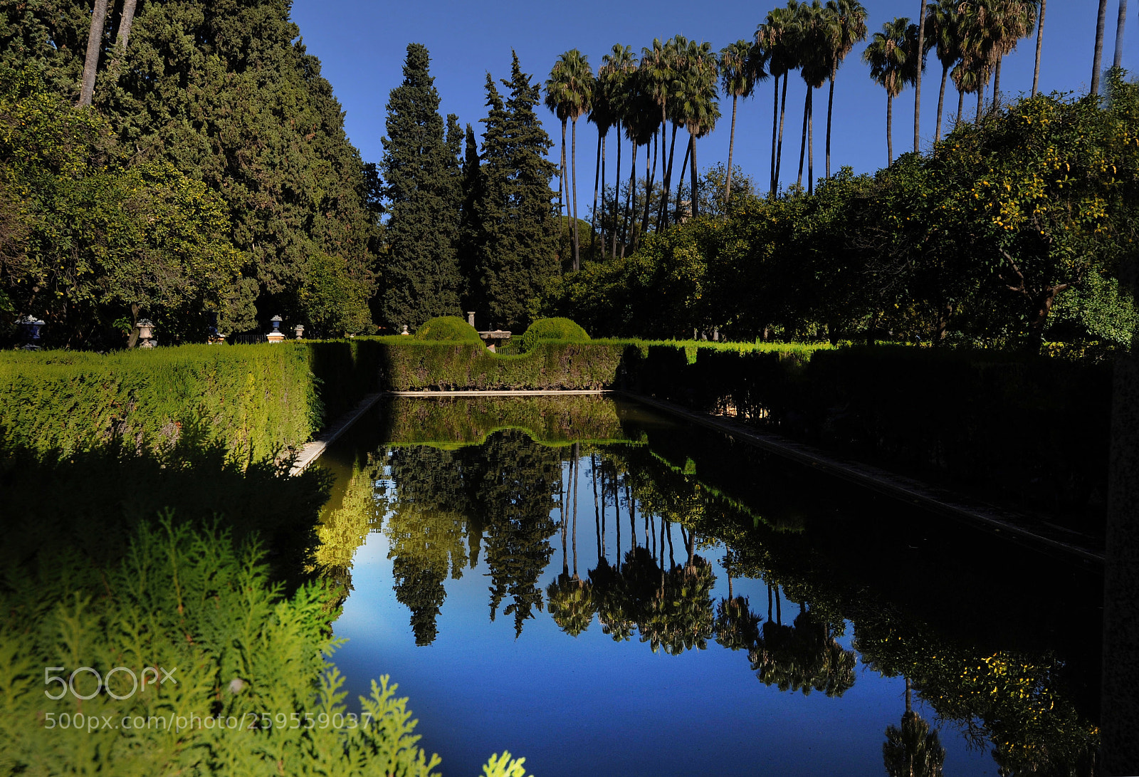 Nikon D700 sample photo. Reflection photography