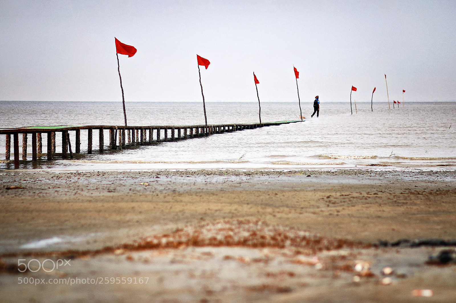 Canon EOS 70D sample photo. Bashbaria sea beach photography