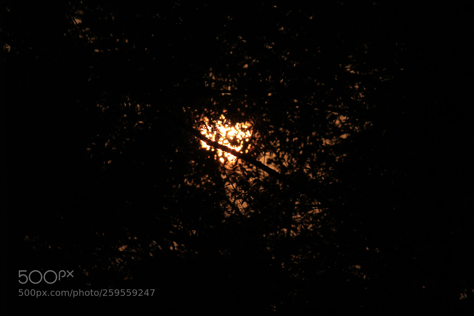 Canon EF-S 55-250mm F4-5.6 IS II sample photo. Untitled photography