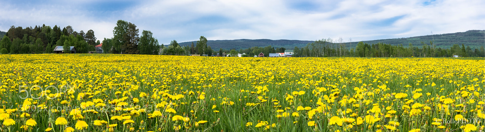 Nikon D7200 sample photo. Summerlandscape photography