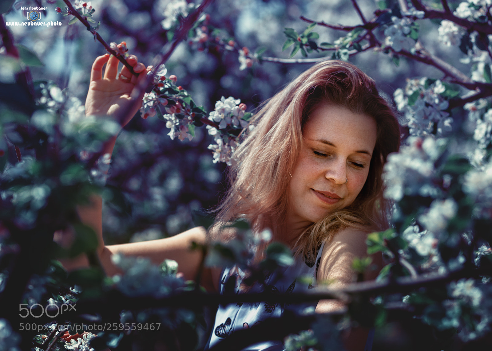 Canon EOS 5D Mark IV sample photo. Obstgarten photography