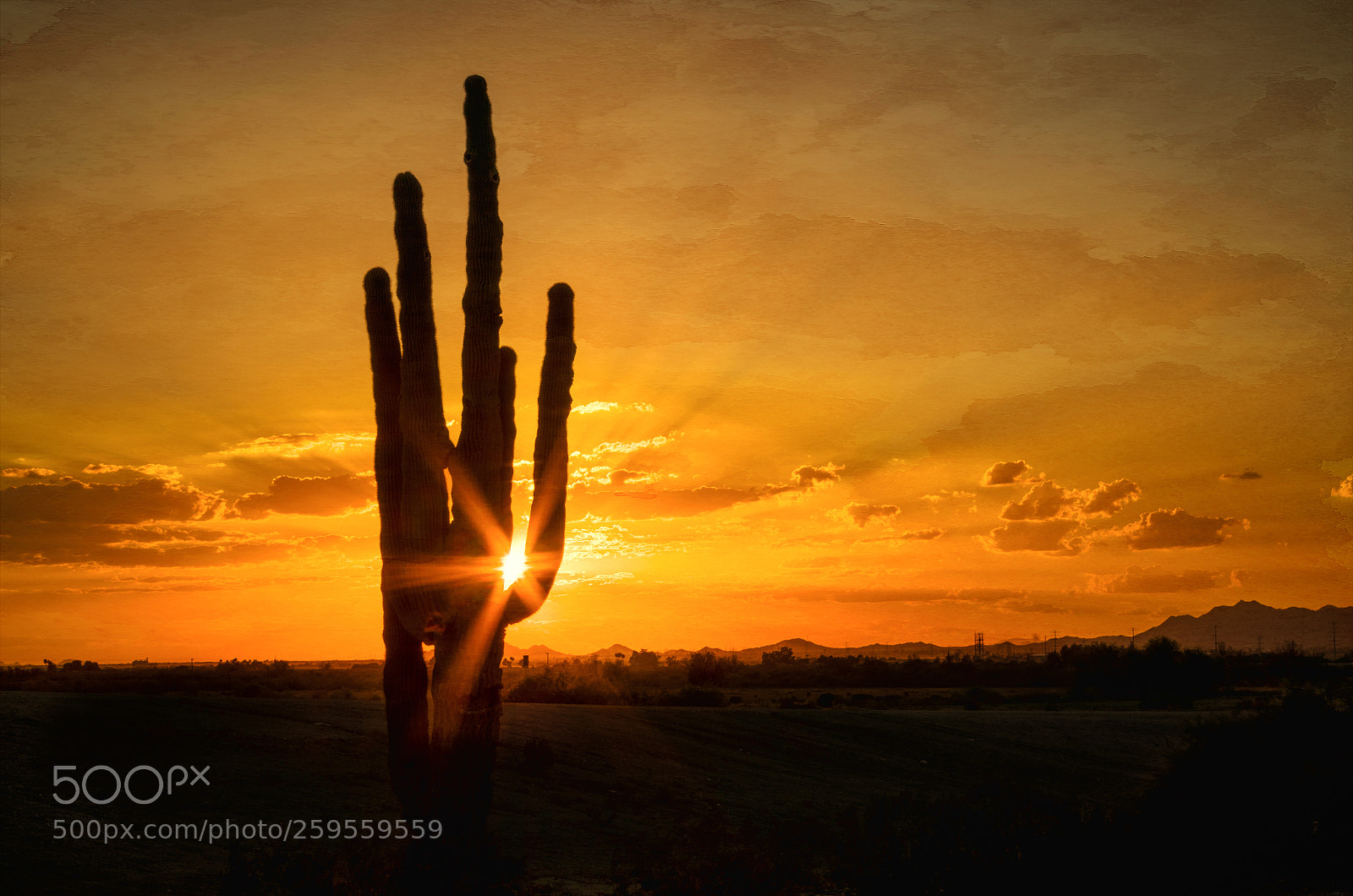 Pentax K-500 sample photo. Arizona photography