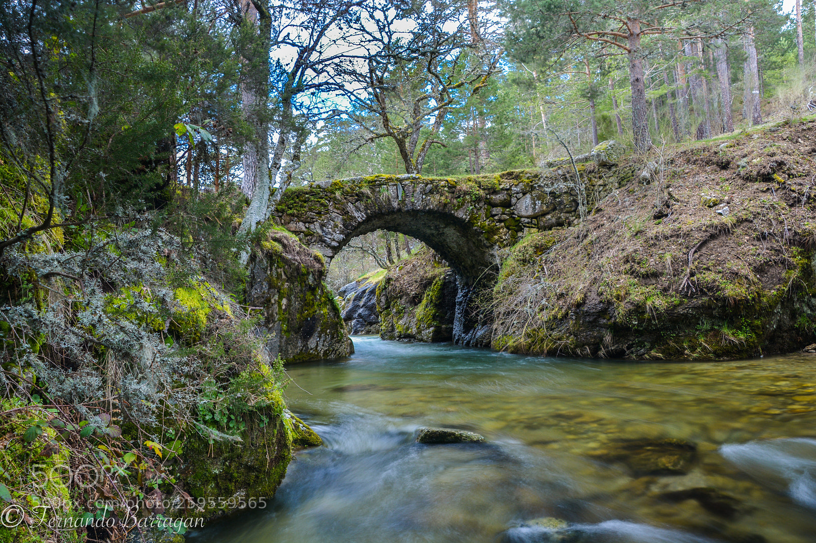 Nikon D7100 sample photo. Puente en lozoya (de ) photography
