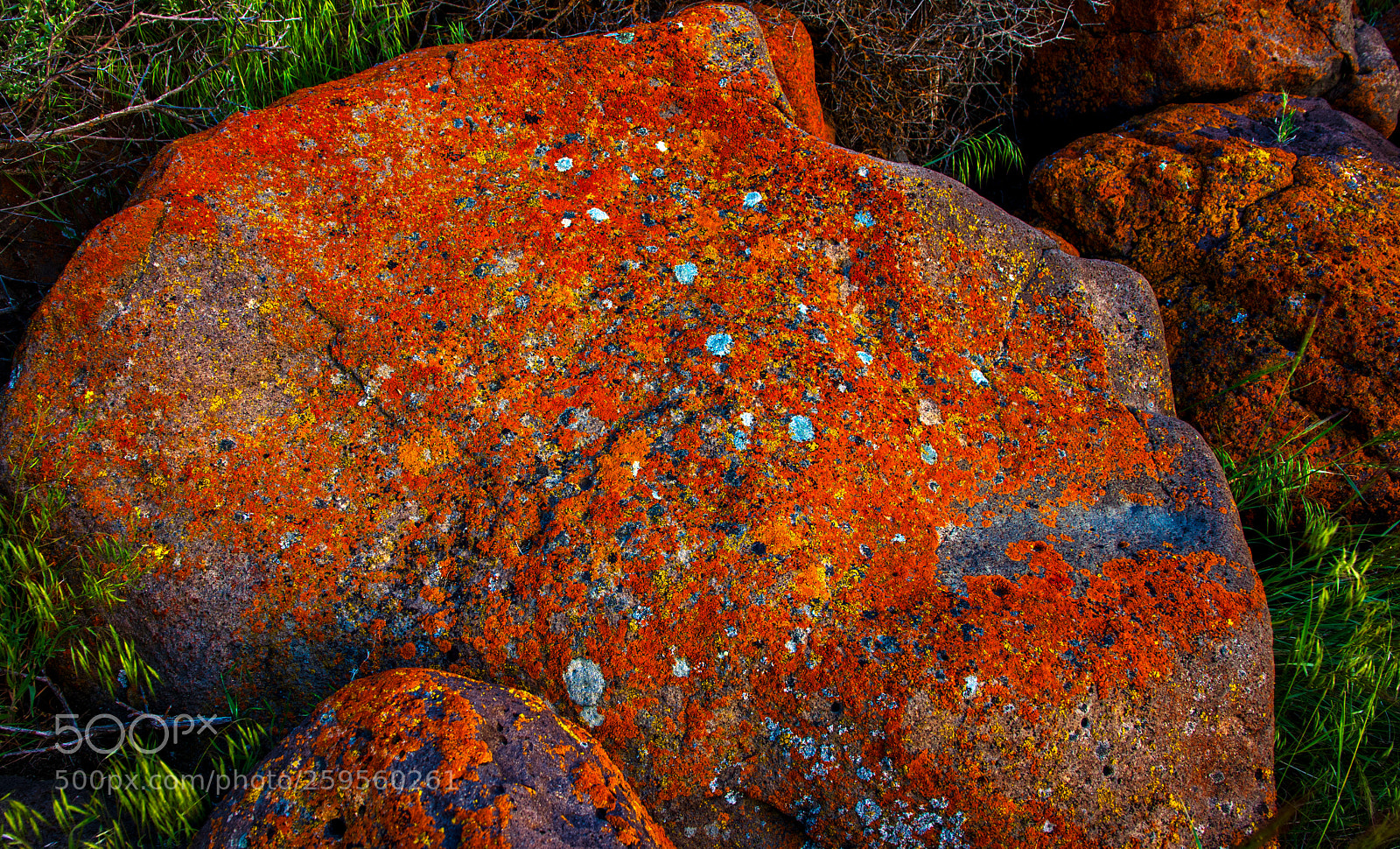 Pentax K-3 II sample photo. Lake abert photography